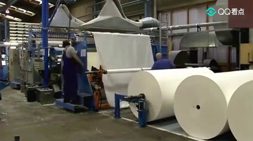 原來衛生紙是這樣制造的,看見原材料,以后再也不敢亂用衛生紙了